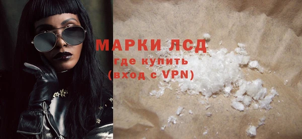 прущие грибы Бронницы
