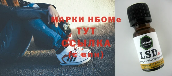 индика Верея