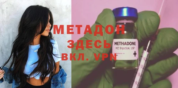 прущие грибы Бронницы
