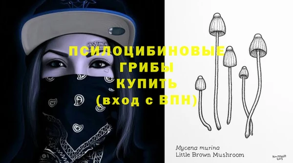 хмурый Богородицк