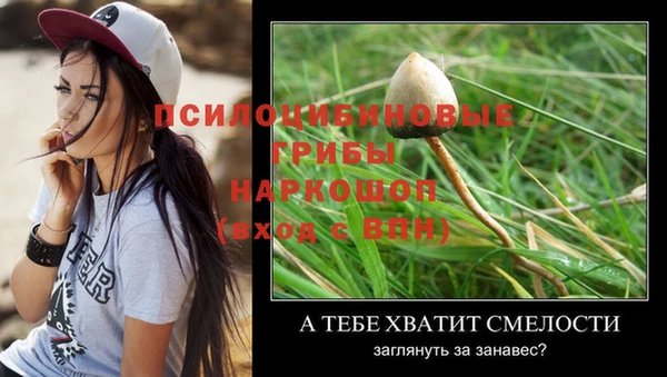 индика Верея
