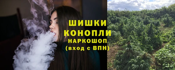 прущие грибы Бронницы