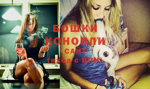 прущие грибы Бронницы