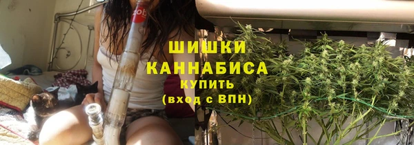прущие грибы Бронницы
