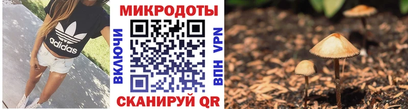 купить наркотики цена  это наркотические препараты  Галлюциногенные грибы Cubensis  Дальнереченск 