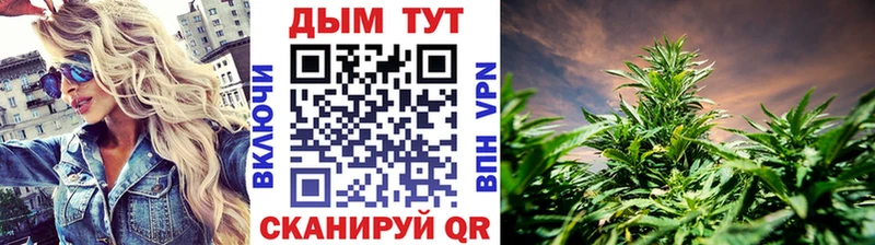 Конопля план  магазин продажи   маркетплейс состав  Дальнереченск 