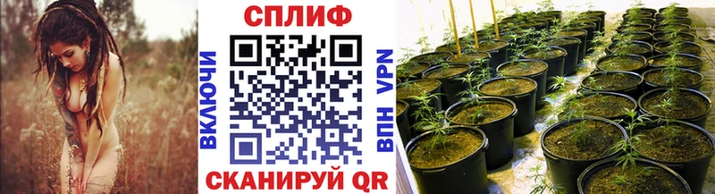Каннабис Ganja Дальнереченск